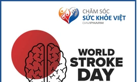 Chăm Sóc Sức Khỏe Việt – Hỗ trợ người dân Việt Nam phòng chống hiệu quả đột quỵ