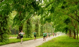 Dàn elite và gần 4000 vận động viên đổ bộ Ecopark Marathon 2024