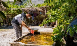 Cuộc sống mới của người dân xã Vinh Thanh từ khi nước sạch được khơi nguồn 