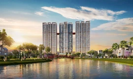 Khách mua shophouse tại The Terra - An Hưng đã được nhận sổ đỏ