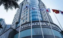 Gelex điều chỉnh tăng giá chào mua công khai cổ phiếu Viglacera lần 2 