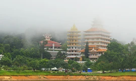 Vị ngọt đầu xuân