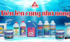 'Thành công là một cuộc hành trình…'