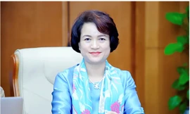 Hành trình biến nồi nước lá gội đầu của mẹ thành giải thưởng KOVA của Phó TGĐ Sao Thái Dương