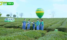 Hoa hậu Thùy Tiên hát Gửi anh xa nhớ trong ngày sinh nhật Quang Linh Vlog để giải tỏa căng thẳng