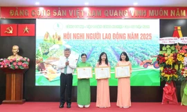 Tập đoàn Công nghiệp Cao su Việt Nam đẩy mạnh phát triển toàn diện