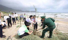 Mạng xã hội 'xanh rì' với chiến dịch 'Triệu cây vươn cao cho Việt Nam xanh'