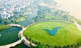 Xanh SM Platform cam kết chia sẻ doanh thu tới 80% trong 3 năm đầu