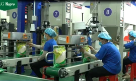 Hapro luôn chủ động tạo nguồn hàng cho hoạt động xuất khẩu nhiều năm qua