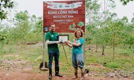 Nestlé Việt Nam trồng rừng góp phần giảm tác động biến đổi khí hậu