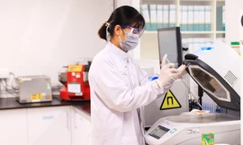 Nestlé muốn đưa Việt Nam trở thành trung tâm cung ứng thực phẩm và đồ uống