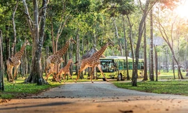 ‘Xe cao cấp, Nghỉ đẳng cấp’ - đặc quyền dành cho người tiên phong mua VinFast VF 8 và VF 9