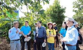 Bayer đồng hành cùng nông dân Tây Nguyên chuyển đổi sang nông nghiệp bền vững