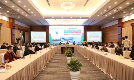 Phát triển vận tải tiết kiệm nhiên liệu góp phần xây dựng nền kinh tế xanh tại Việt Nam