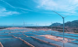 Quốc tế đưa tin về tổ hợp kinh tế muối và năng lượng tái tạo lớn nhất Việt Nam 