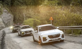 Liên tục xô đổ kỷ lục doanh số, VinFast Lux áp đảo thị phần xe cao cấp