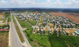 Đầu xuân Tân Sửu, thị trường nào được nhà đầu tư “mở hàng“? 