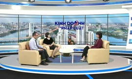 Tranh chấp khi thông tin không rõ ràng trong hợp đồng bảo hiểm – Lưu ý cho các bên