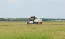 Chiến dịch Chăm sóc máy Yanmar 2020: Đồng loạt, thiết thực, hiệu quả