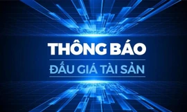 Công ty CP Tiền Phong thông báo đấu giá xe ô tô 05 chỗ