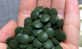 Tảo xoắn Spirulina Nhật Bản có tốt không?
