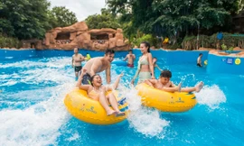 VinID mở “cánh cửa thần kỳ” đến thế giới giải trí VinWonders ưu đãi tới 32%