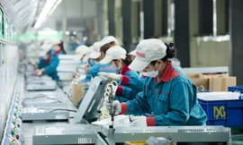 SUNHOUSE với chiến lược tạo vị thế vững chắc cho ngành sản xuất Việt trên bản đồ thế giới