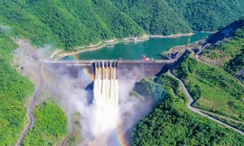 EVNGENCO1: Sản lượng điện sản xuất tháng 8 vượt kế hoạch được giao