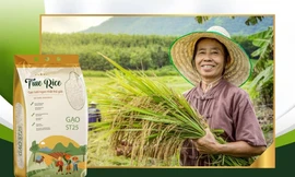 Tiên phong ứng dụng công nghệ trong việc sử dụng gạo thay đổi trải nghiệm của người dùng