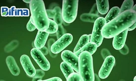 Táo bón dùng men tiêu hóa gì để bụng nhẹ nhõm?