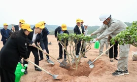 Phát động trồng cây phủ xanh 16 ha dự án sân golf tại tỉnh Phú Thọ