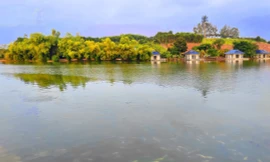 Hồi hộp chờ vinh danh 'tên thương mại' cho khu nghỉ dưỡng Quiet Luxury