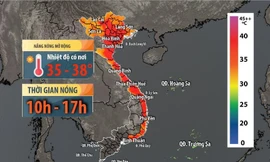 (Nguồn ảnh: Internet)