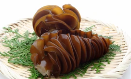 Chất nhờn từ tảo nâu hiệu quả giúp sức khỏe người bệnh ung thư được cải thiện tốt hơn