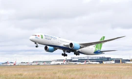 Chủ tịch Bamboo Airways: 6 đường bay quốc tế đường dài trong 3 tháng là 'quả ngọt'