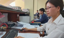 Thu hồi nợ tạm ứng tại Ninh Thuận sẽ đạt và vượt chỉ tiêu đề ra đến cuối năm 2023 