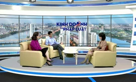 Một số vấn đề về áp dụng căn cứ thực hiện hợp đồng khi hoàn cảnh thay đổi cơ bản