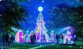 Giáng sinh rực rỡ sắc màu tại “khu rừng pha lê” tuyết trắng Ecopark
