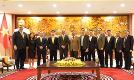 Tổ hợp thể thao, giải trí 4,5 tỷ USD của T&T dự kiến vận hành năm 2028