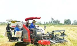 Đi tìm giải pháp gặt lúa mới trong đợt dịch Covid-19