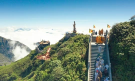 Fansipan được 'thắp sáng' trong lễ vía Quán Thế Âm Bồ Tát xuất gia