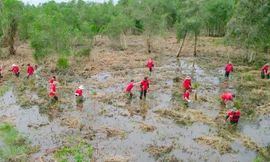 Hướng tới Net Zero, J&T Express chung sức kiến tạo tương lai cùng chương trình “trồng 1 tỷ cây xanh” của Chính phủ