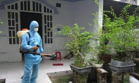 Công ty Anh Thư chuyên cung cấp dịch vụ diệt côn trùng