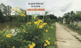 Mô hình Tuyến đường kiểu mẫu của đội tuyên truyền viên bảo vệ môi trường