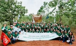 Nestlé Việt Nam trồng rừng góp phần giảm tác động biến đổi khí hậu