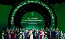 GELEX sở hữu 4 Thương hiệu quốc gia 2024