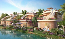 RSM Agency: Dấu ấn 12 năm 'kiến tạo thịnh vượng' cho doanh nghiệp