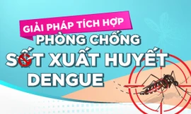 Sốt xuất huyết: Đừng để 'chuyện muỗi' làm lớn!