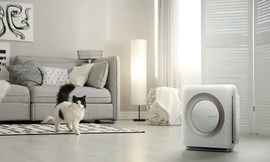 Gợi ý 2 máy lọc không khí tầm trung phù hợp không gian nhỏ 