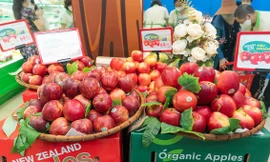 BRG Retail tổ chức ‘ Tuần lễ táo New Zealand’